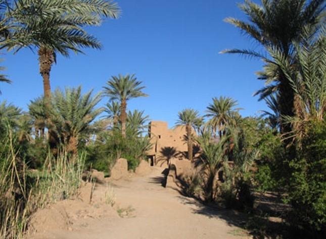 Kasbah Berbere Ouriz Hotel Agdz Exterior photo